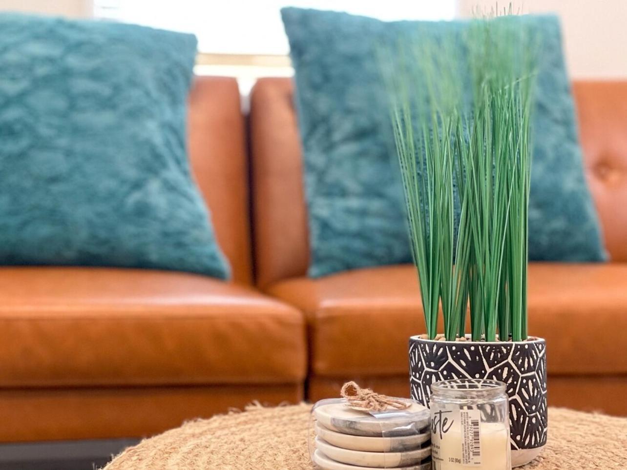 Homey Cozy Newly Renovated Stylish&Chic 7 Guests تامبا المظهر الخارجي الصورة