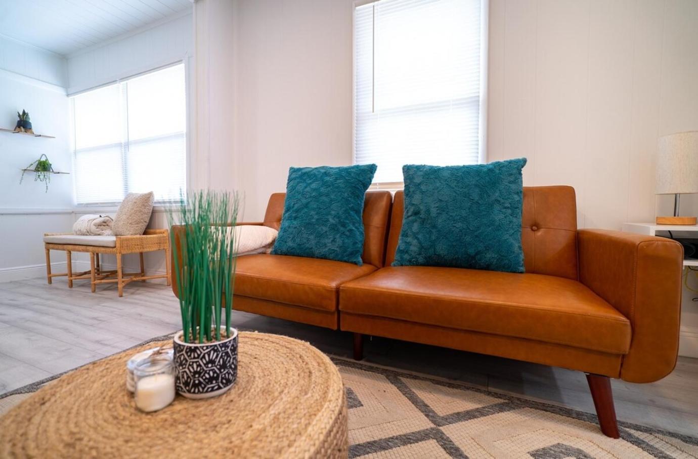 Homey Cozy Newly Renovated Stylish&Chic 7 Guests تامبا المظهر الخارجي الصورة