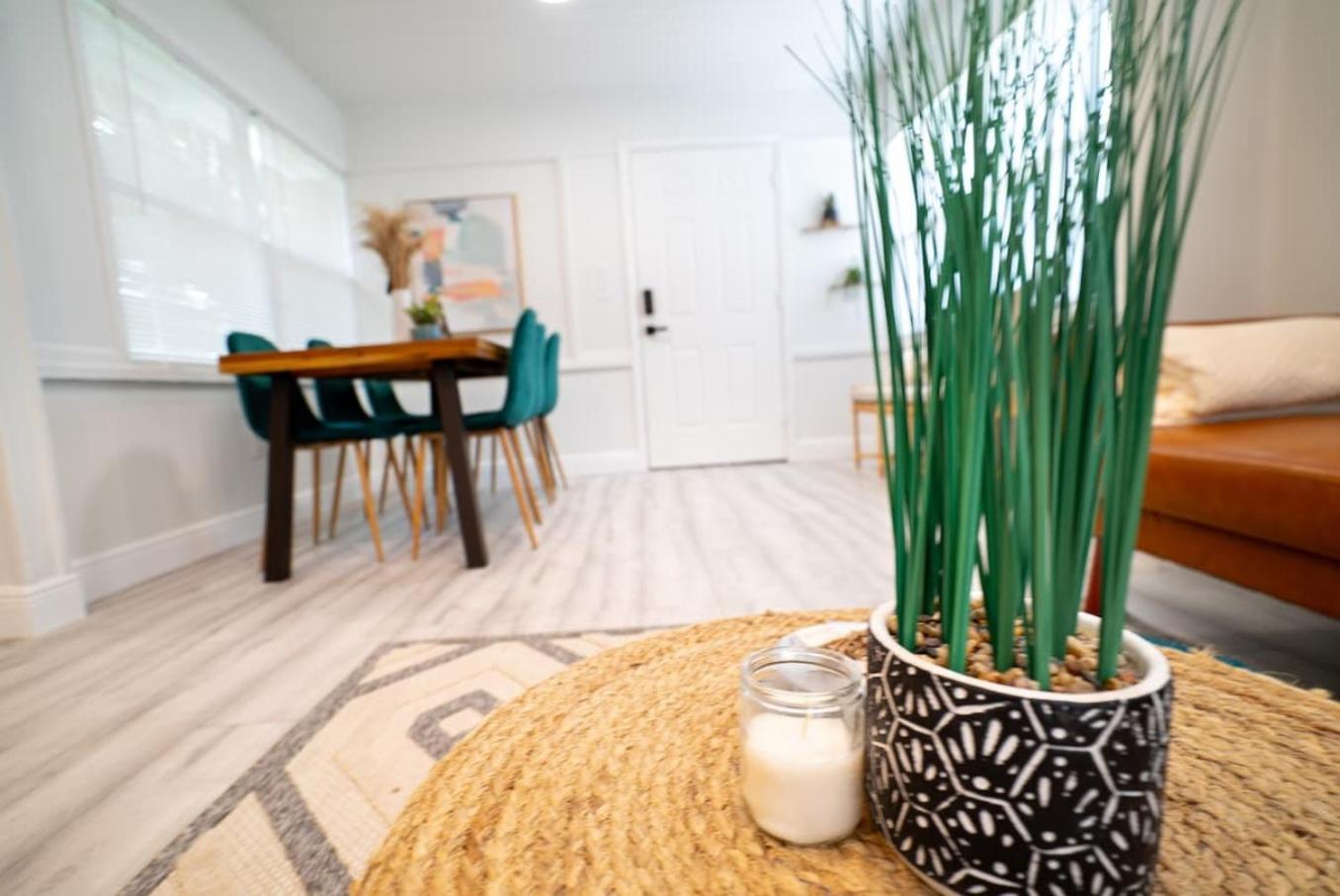 Homey Cozy Newly Renovated Stylish&Chic 7 Guests تامبا المظهر الخارجي الصورة