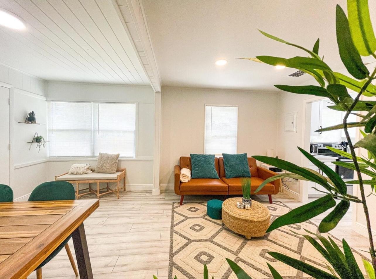 Homey Cozy Newly Renovated Stylish&Chic 7 Guests تامبا المظهر الخارجي الصورة